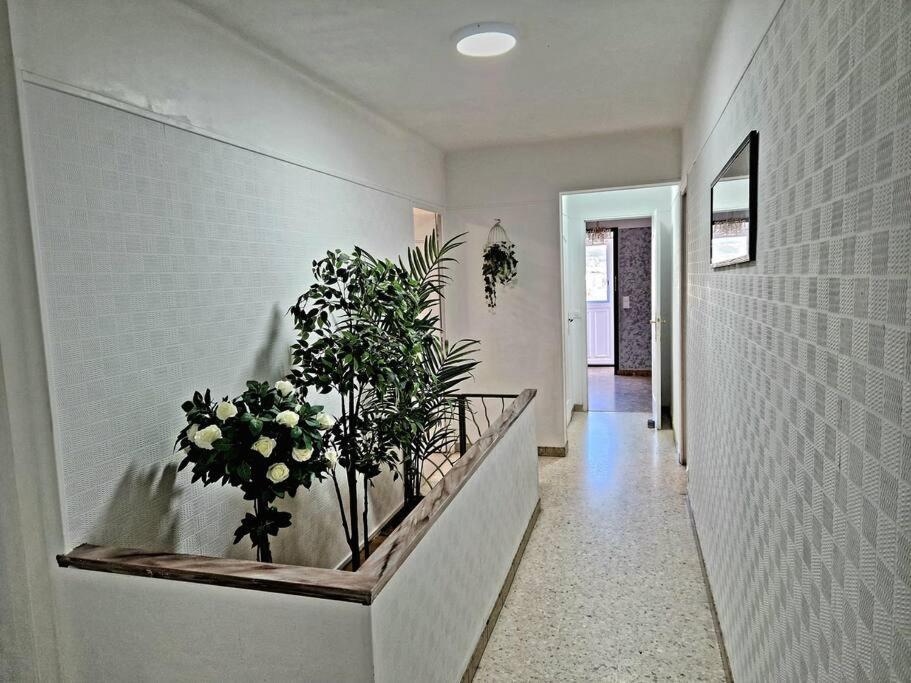 Villa Marseille Dans Les Hauteurs Zewnętrze zdjęcie